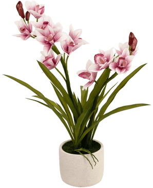 Kunstig Orkidé Cymbidium Real Touch Rosa 60cm