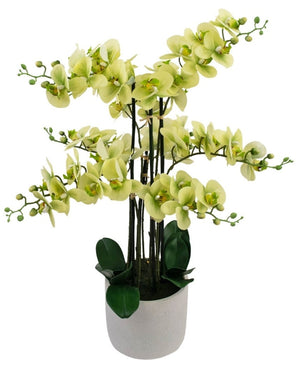 Kunstig Orkidé Real Touch Grønn 80cm
