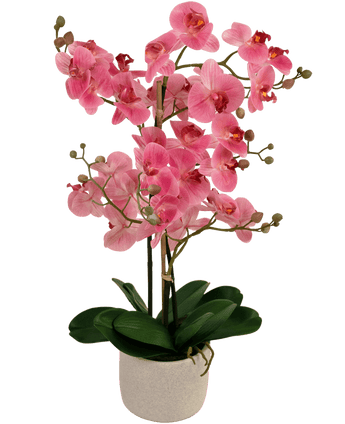 Kunstig Orkidé Real Touch Rosa 68 cm