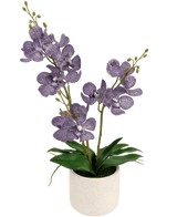 Kunstig Orkidé Vanda Lilla 50cm