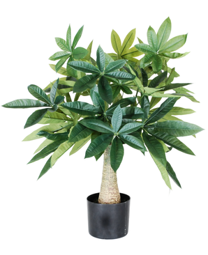 Kunstig Pachira Minitre 70 cm