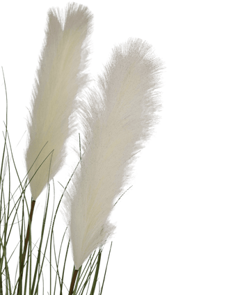 Kunstig Pampas Gress Hvit 120cm