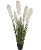 Kunstig Pampas Gress Hvit 120cm