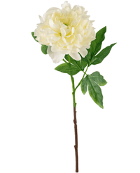 Kunstig Peonblomst Hvit 61cm