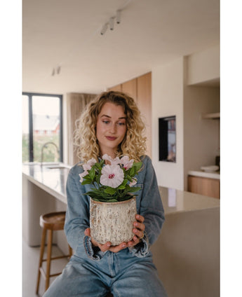 Kunstig Petunia Rosa i Potte 25cm