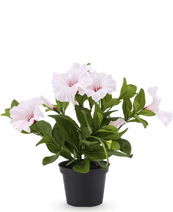 Kunstig Petunia Rosa i Potte 25cm