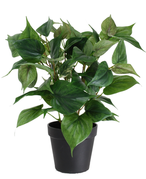 Kunstig Philodendron i Potte UV 35 cm