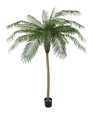 Kunstig Phoenix Palme De Luxe 210cm