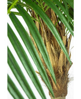 Kunstig Phoenix Palme De Luxe 250cm