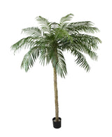 Kunstig Phoenix Palme De Luxe 250cm