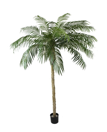 Kunstig Phoenix Palme De Luxe 250cm