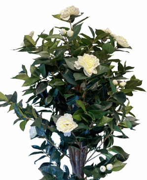 Kunstig Plante Camellia Kremhvit 140 cm