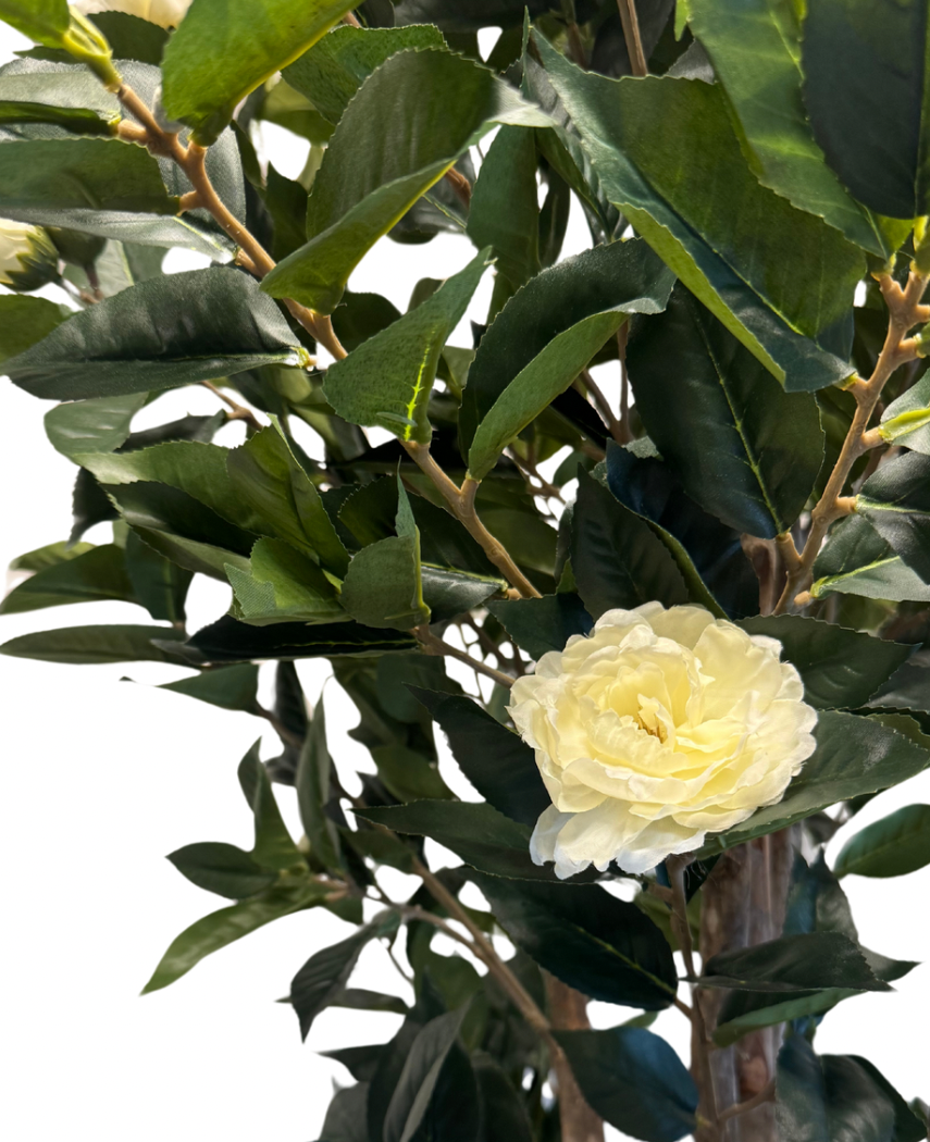 Kunstig Plante Camellia Kremhvit 140 cm