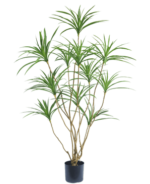 Kunstig Plante Dracaena 150cm