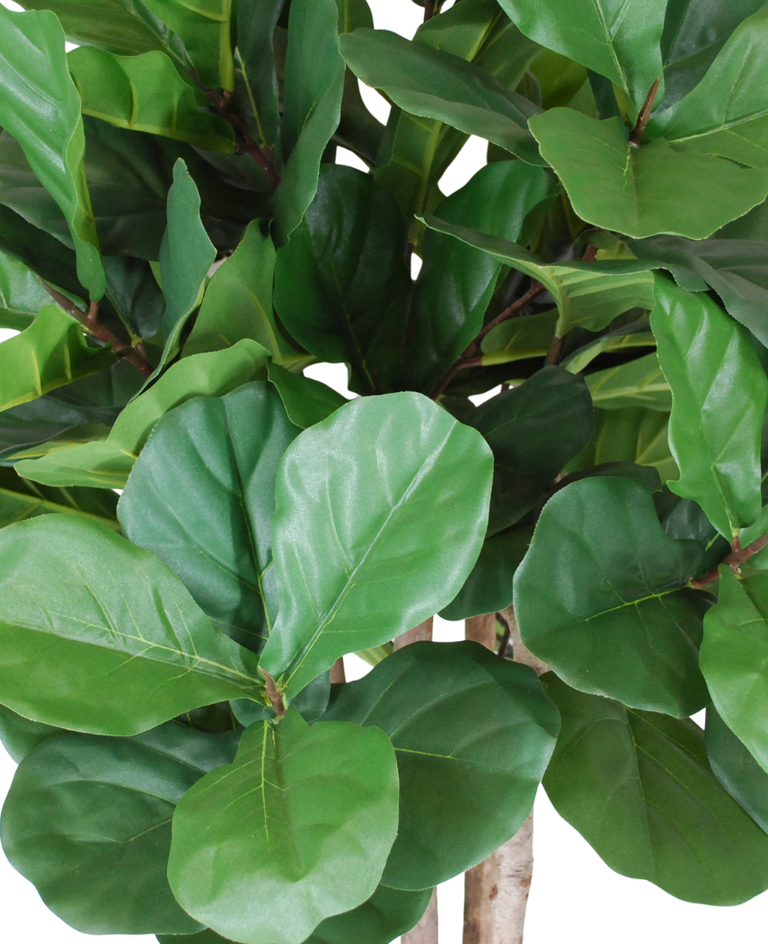 fiken plante Kunstig Plante Fiolinfiken 100 cm – ambiplants.no