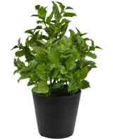 Kunstig plante Perilla 25 cm