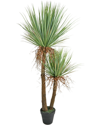 Kunstig Plante Yucca Deluxe 153 cm