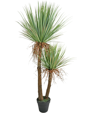 Kunstig Plante Yucca Deluxe 153 cm
