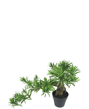 Kunstig Podocarpus Bonsai 52 cm