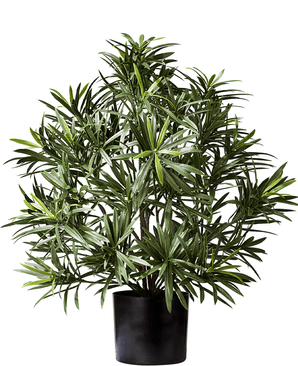 Kunstig Podocarpus i Potte 47cm
