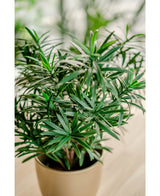 Kunstig Podocarpus i Potte 47cm