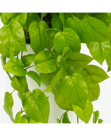 Kunstig Pothos Busk Deluxe 90cm