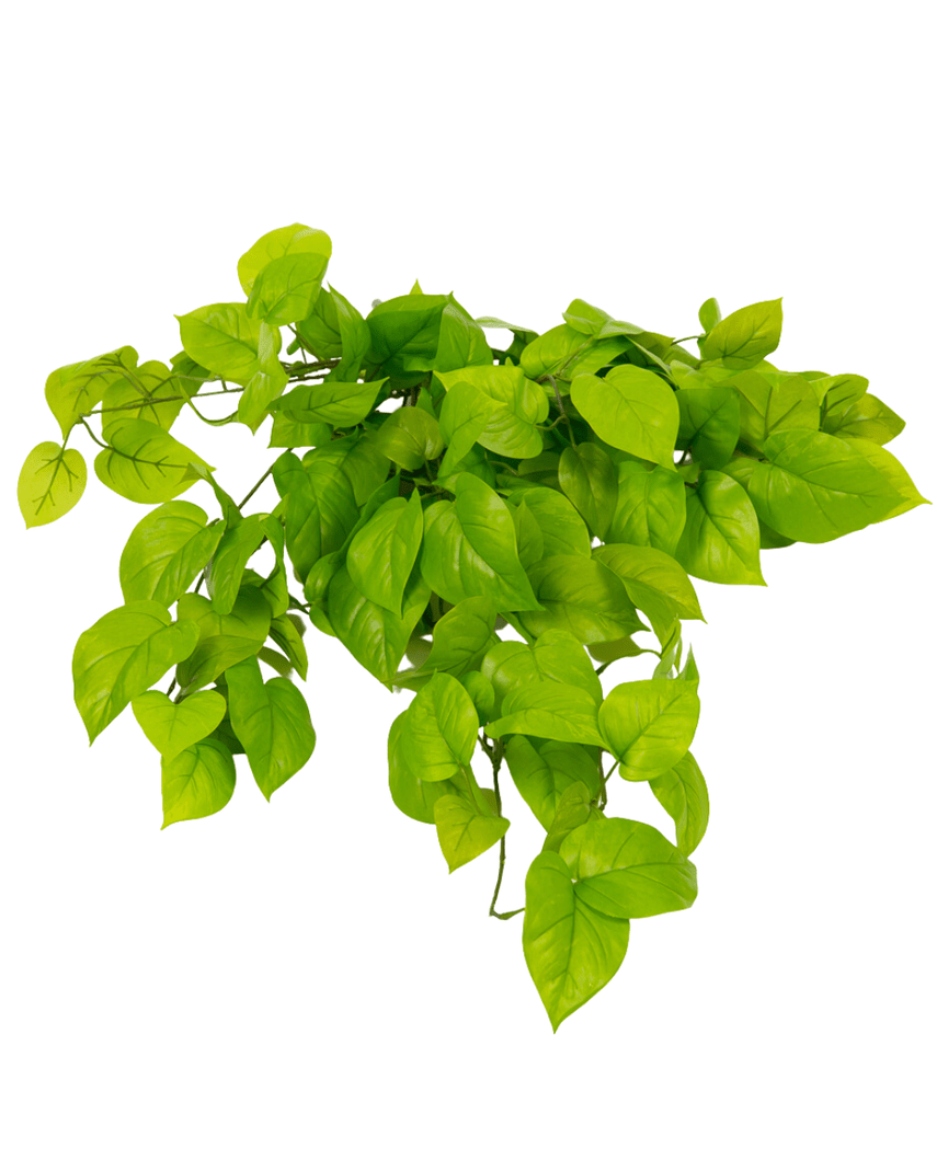 Kunstig Pothos Busk Deluxe 90cm