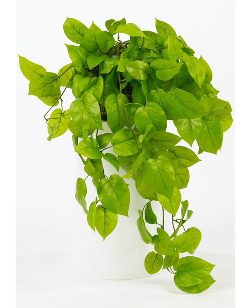 Kunstig Pothos Busk Deluxe 90cm