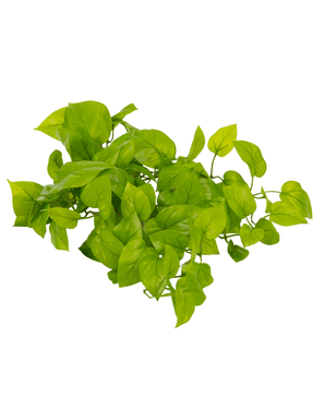 Kunstig Pothos Busk Deluxe 60cm