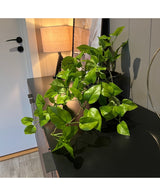 Kunstig Pothos Busk Deluxe 60cm