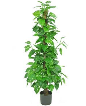 Kunstig Pothos på Stamme 130cm