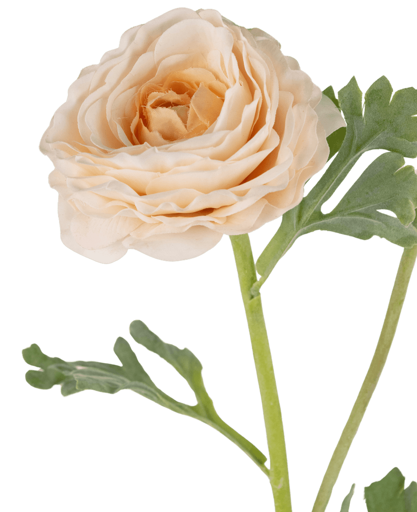 Kunstig Ranunkel Real Touch Krem 60cm