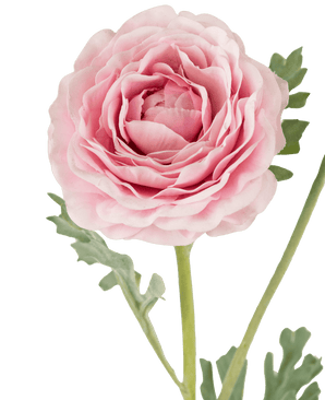 Kunstig Ranunkel Real Touch Rosa 60cm