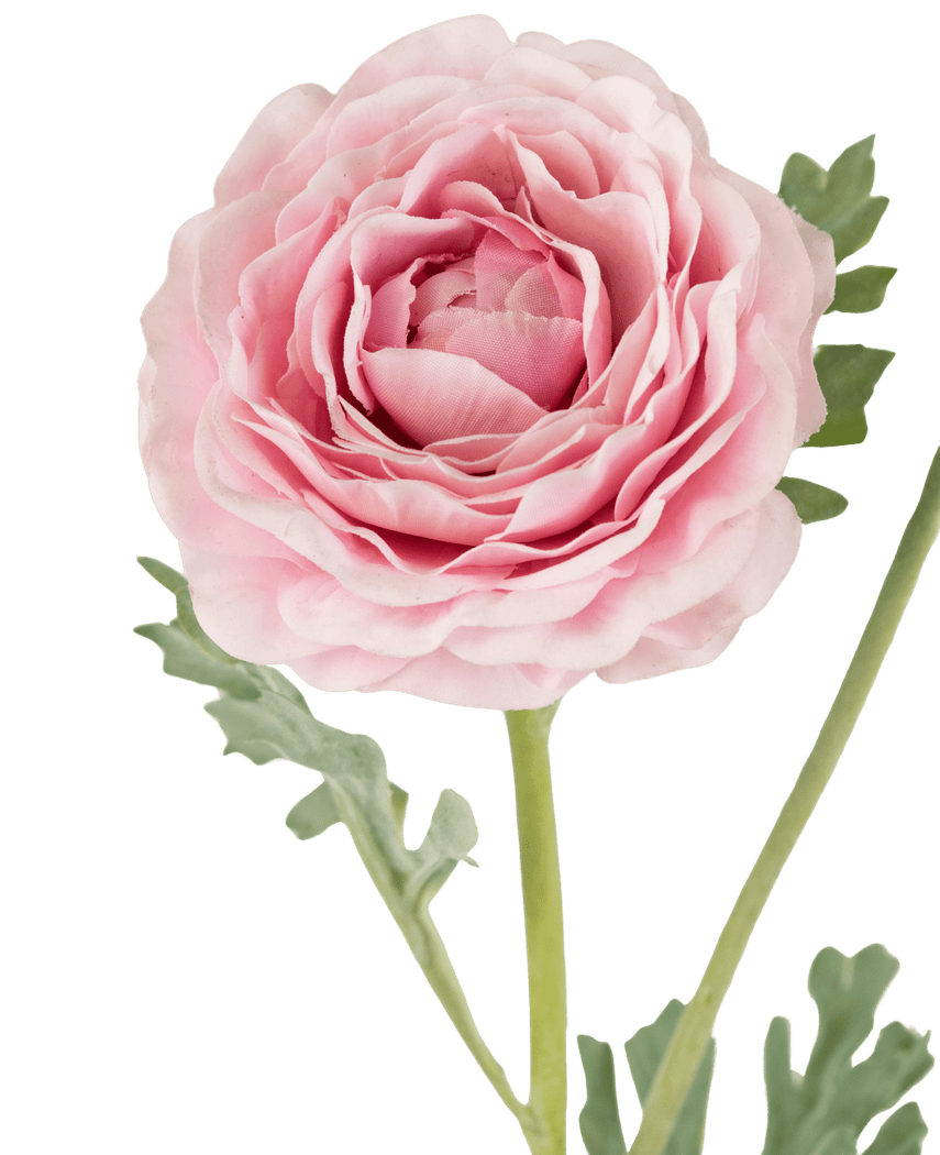 Kunstig Ranunkel Real Touch Rosa 60cm