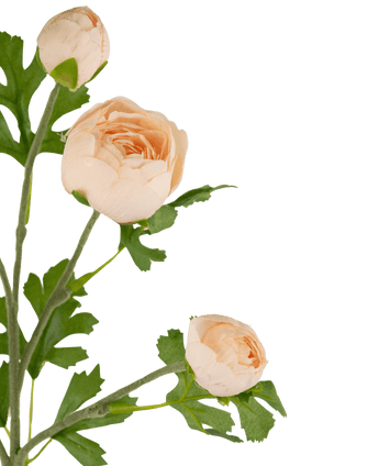 Kunstig Ranunkelgren x5 Real Touch rosa 62cm