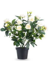 Kunstig Rosebusk Krem UV i Potte 35 cm