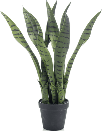 Kunstig Sanservieria i Potte 50cm