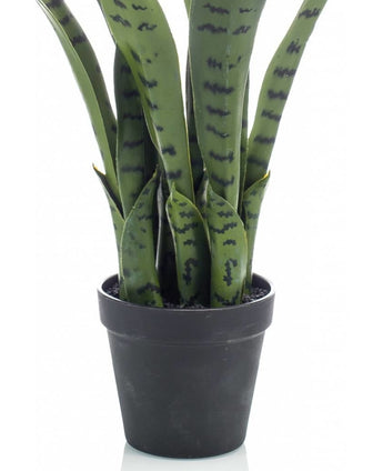 Kunstig Sanservieria i Potte 50cm