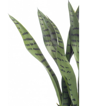 Kunstig Sanservieria i Potte 50cm