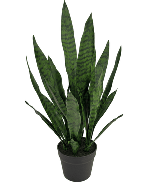 Kunstig Sansevieria Zeylanica 71cm