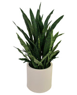 Kunstig Sansevieria i Beige Krukke 110cm