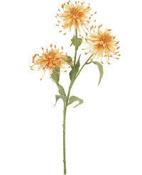 Kunstig Scabiosa Stilk Fersken 70cm