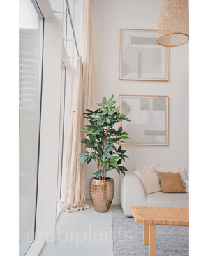 Kunstig Schefflera 150cm