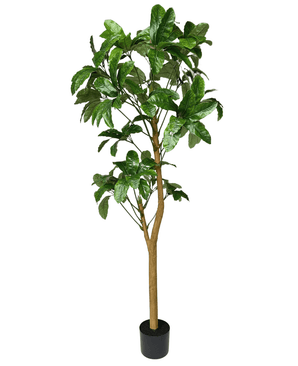 Kunstig Schefflera Gigant 200cm