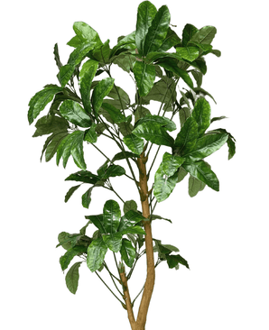 Kunstig Schefflera Gigant 200cm