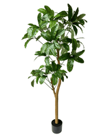Kunstig Schefflera Gigant 200cm