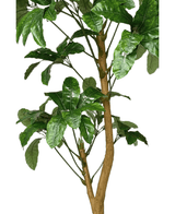 Kunstig Schefflera Gigant 200cm