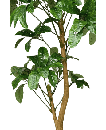 Kunstig Schefflera Gigant 200cm