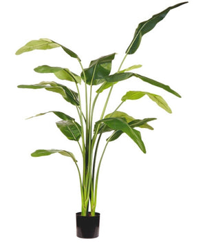 Kunstig Strelitzia Deluxe 180cm