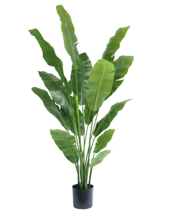 Kunstig Strelitzia Nicolai Deluxe 180cm